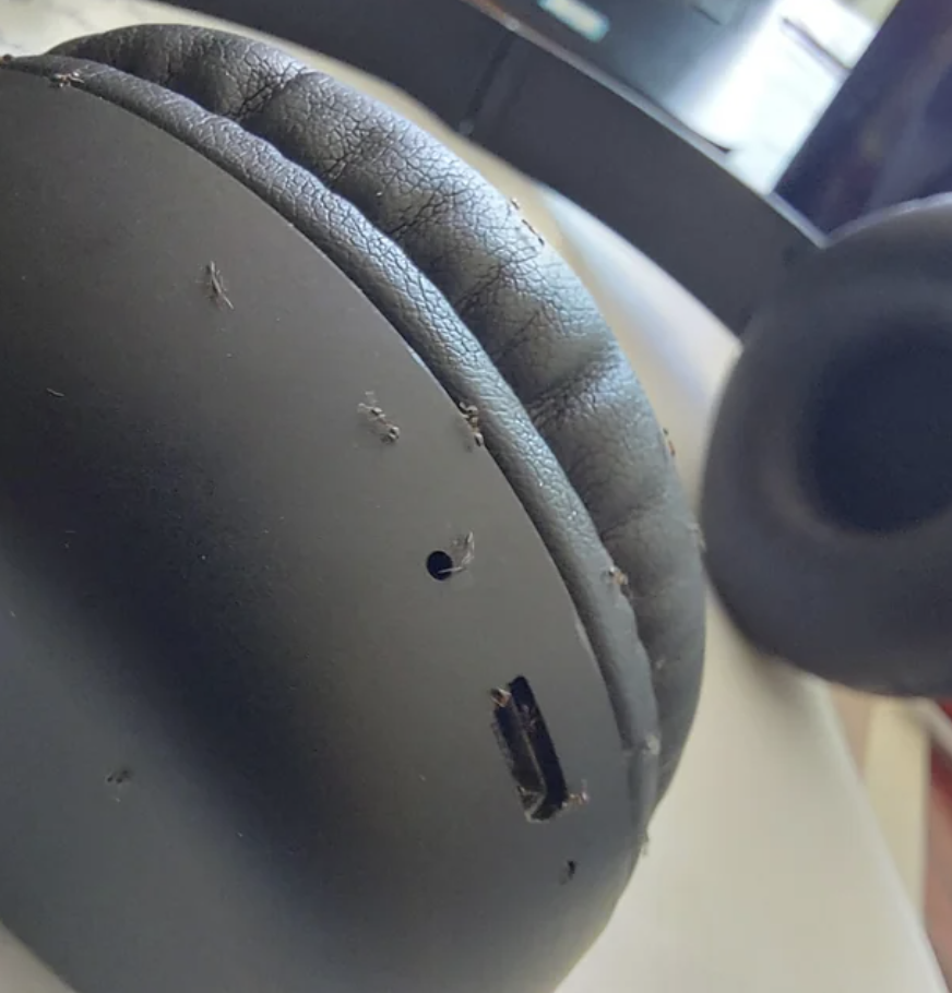 Ants on someone's headphones
