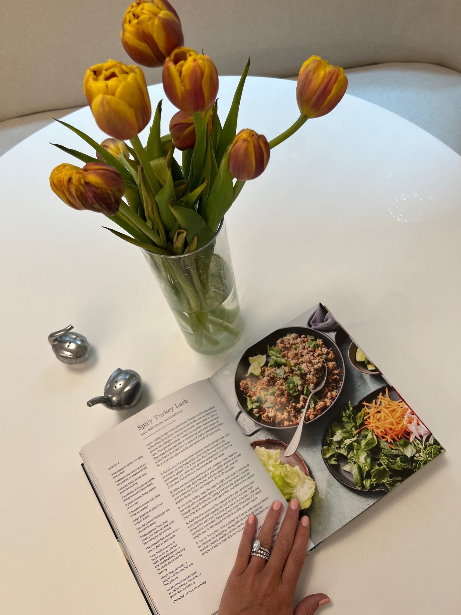 A cookbook open to a recipe for spicy turkey larb.