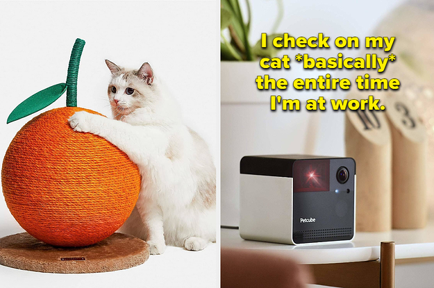 41 Things From Amazon You Can Get To Apologize To Your Cat For Being So, Ugh, Human