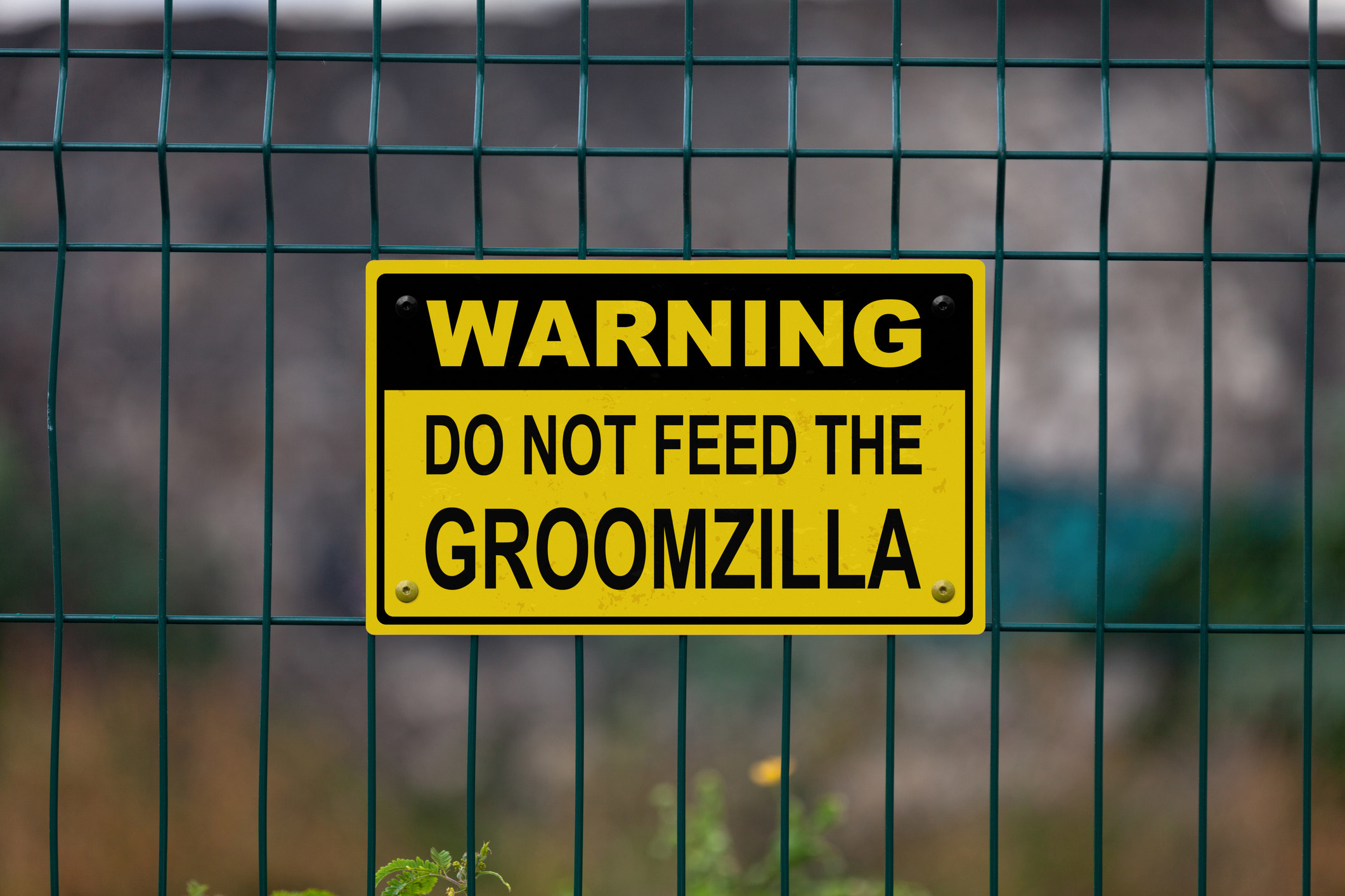 warning do not feed the groomzilla