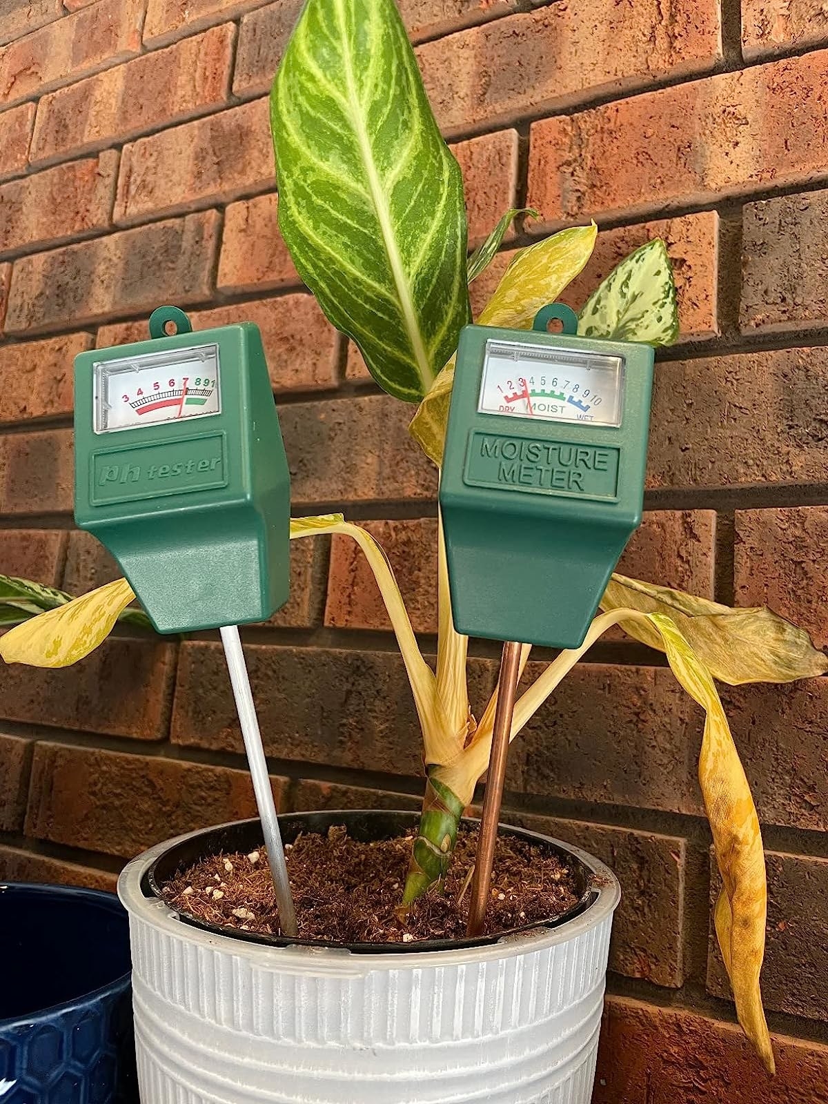 Reviewer&#x27;s photo of the pH tester and moisture meter in a potted plant
