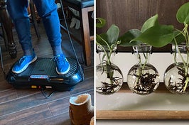 on left: reviewer standing in LifePro vibration plate. on right: three-bulb desktop terrarium