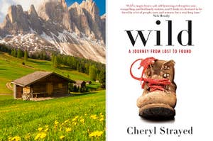 A cabin in a valley and the book "Wild."