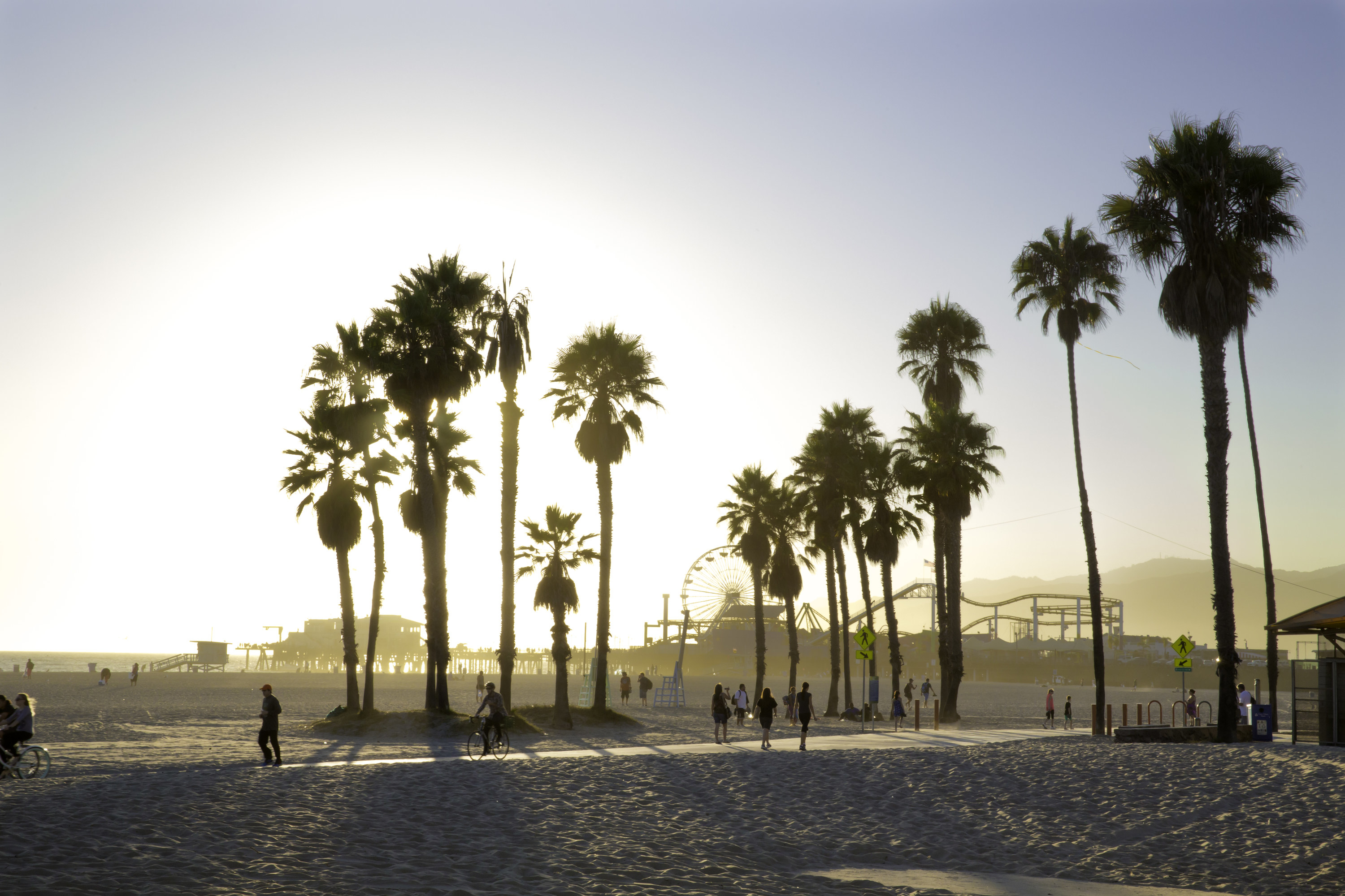 West Coast beach with palm trees silhouettes