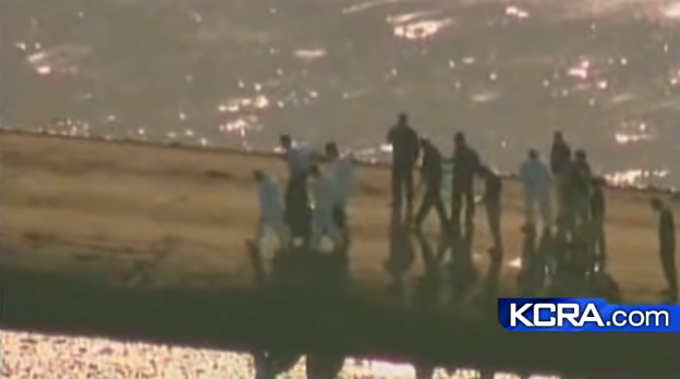 large group of people walking outside