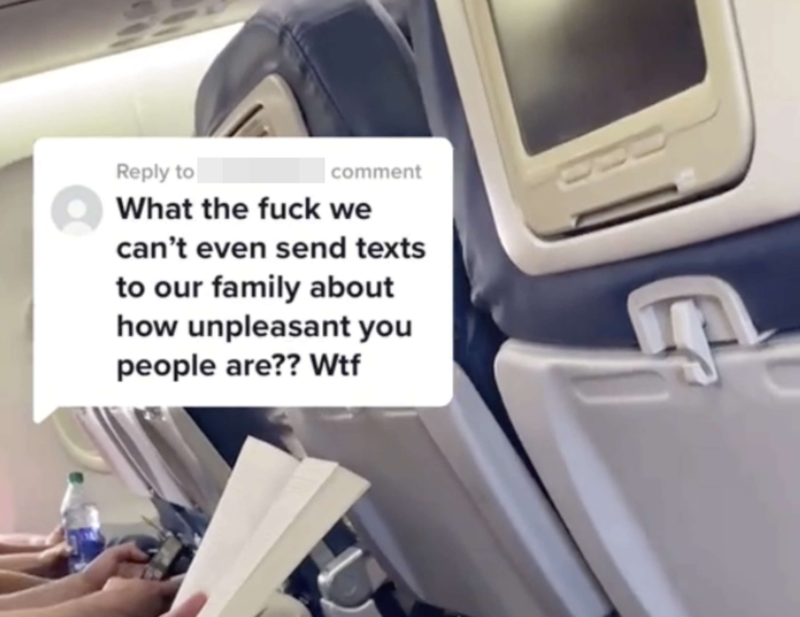 TikTok comment that says &quot;What the fuck we can&#x27;t even send texts to our family about how unpleasant you people are? Wtf&quot;