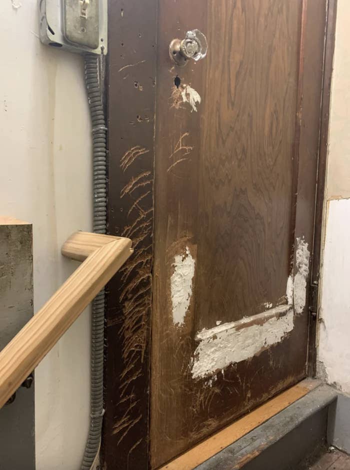 door covered in deep scratch marks