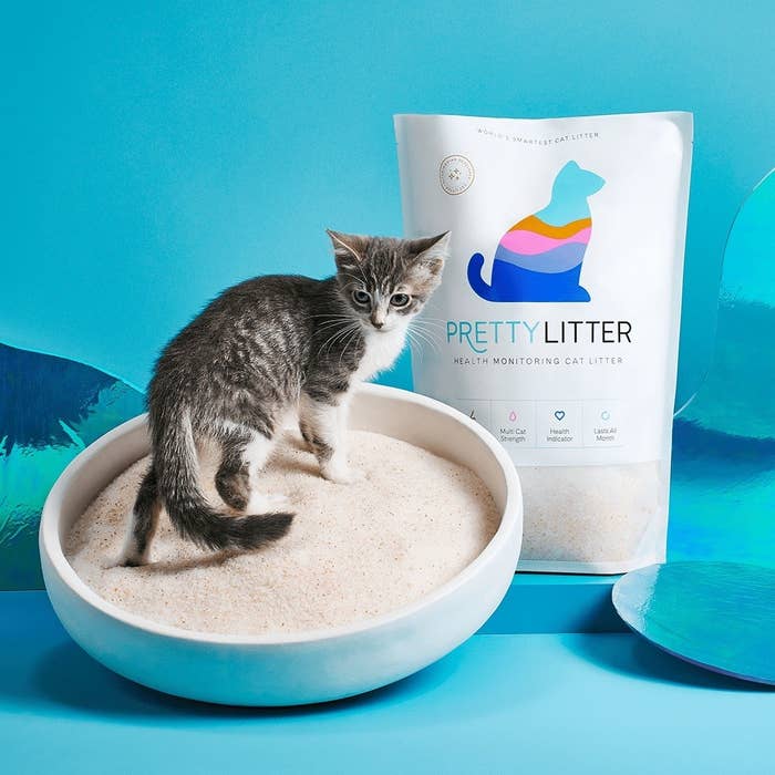 a cat sitting in a bowl next to the bag of cat litter