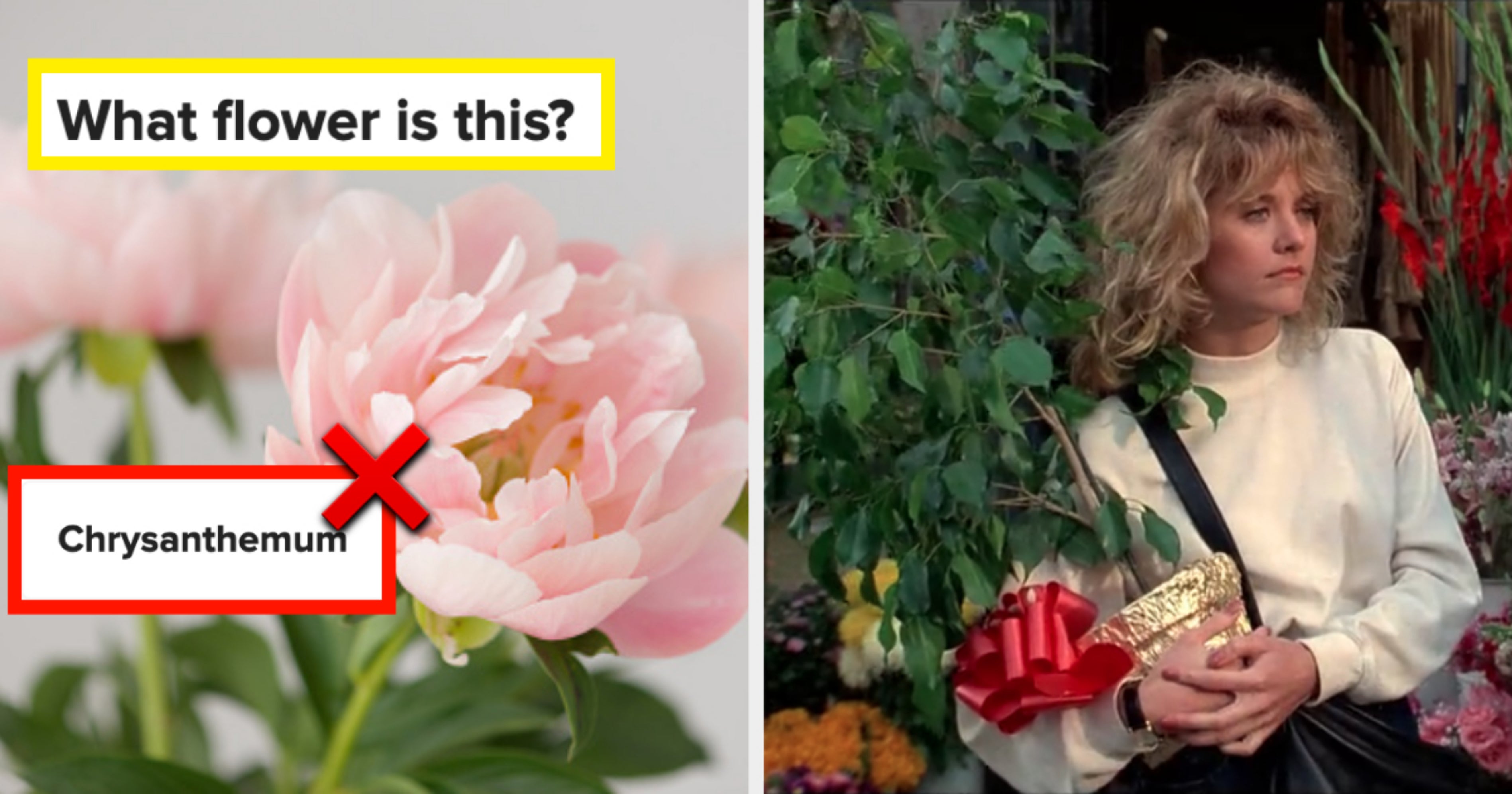 Flower Trivia Quiz