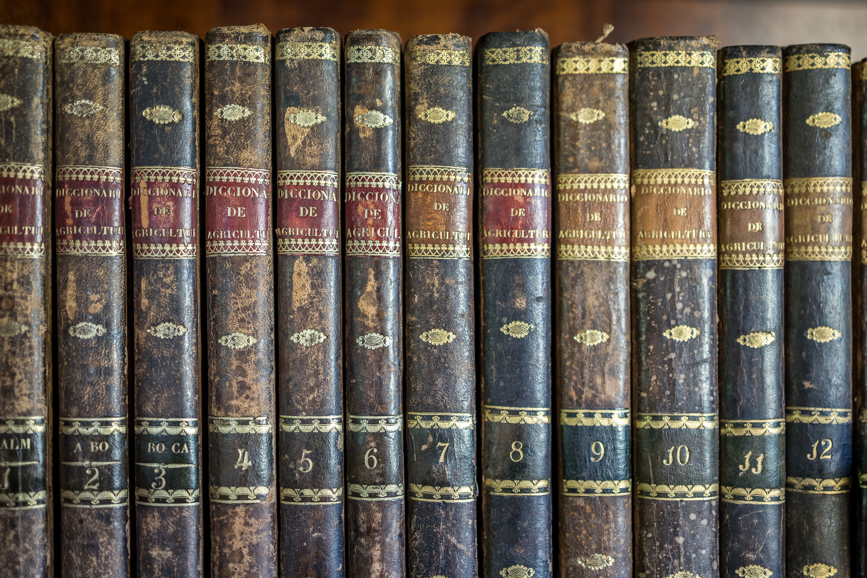 a row of encyclopedias