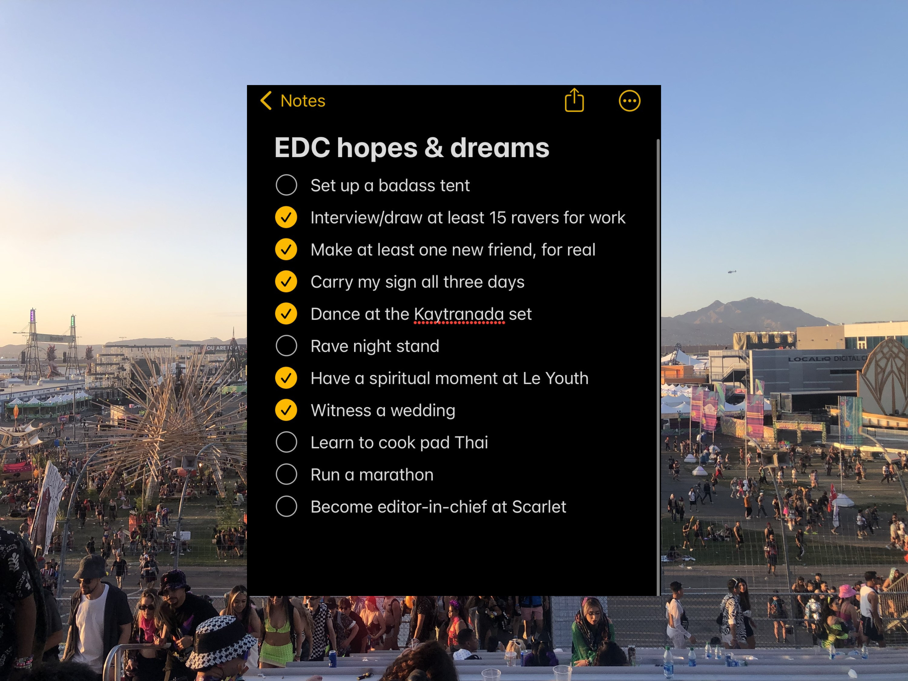 edc in the back with an insert of the author&#x27;s hopes and dreams for his edc 2023 experience