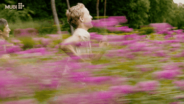 Two boys running in a field of flowers