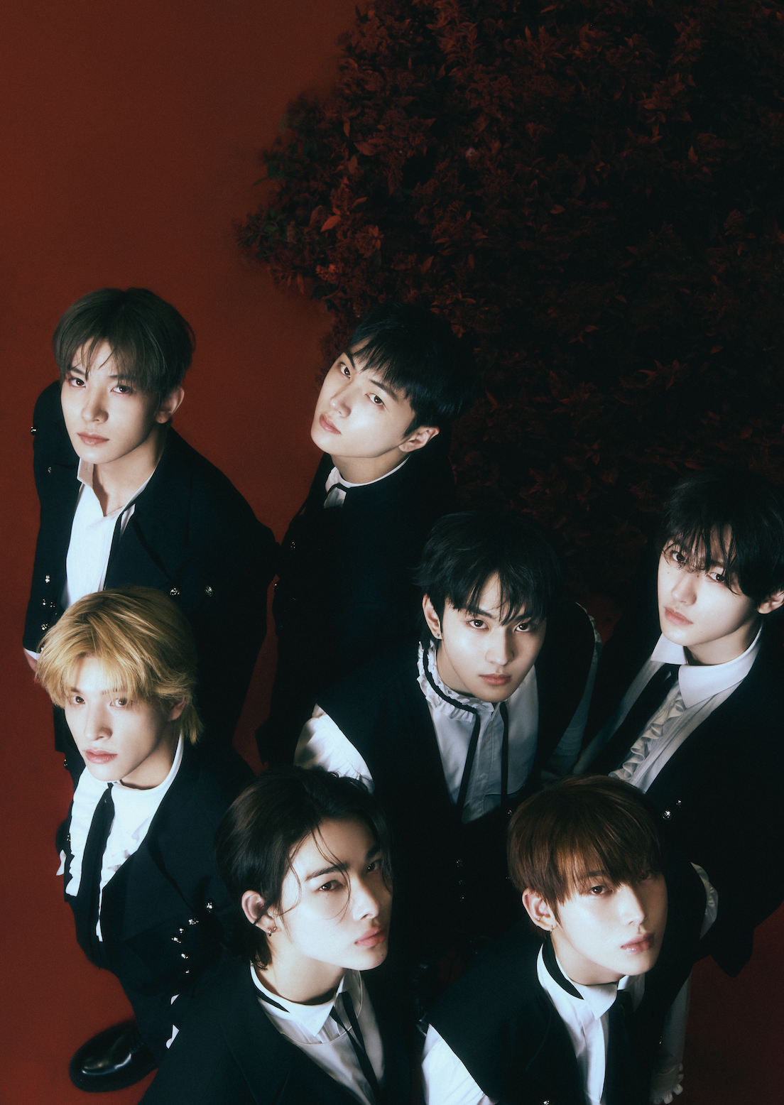 K-pop group Enhypen posing for their album Dark Blood by looking up at the camera