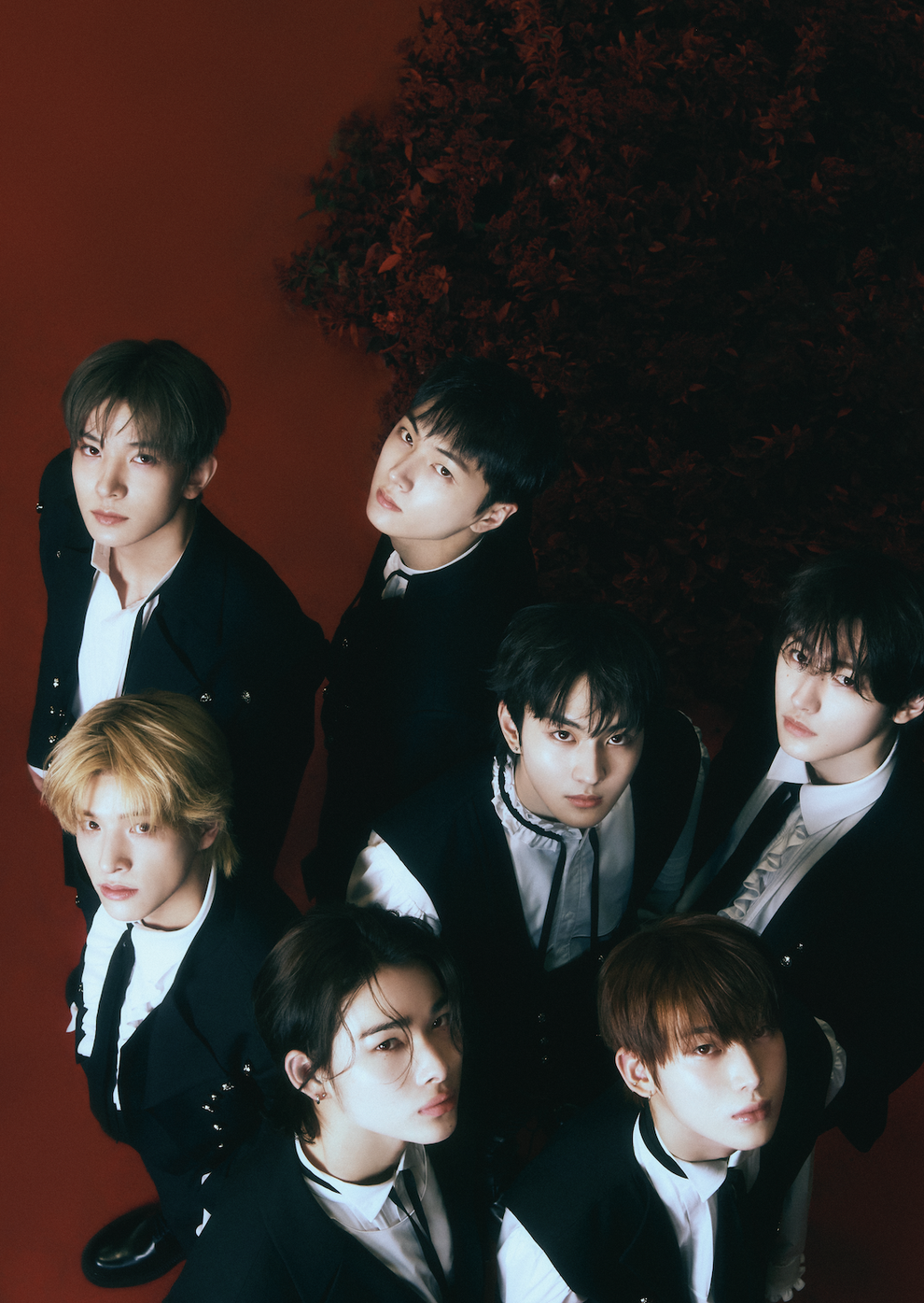 K-Pop’s Enhypen Dark Blood 4th Mini Album Interview