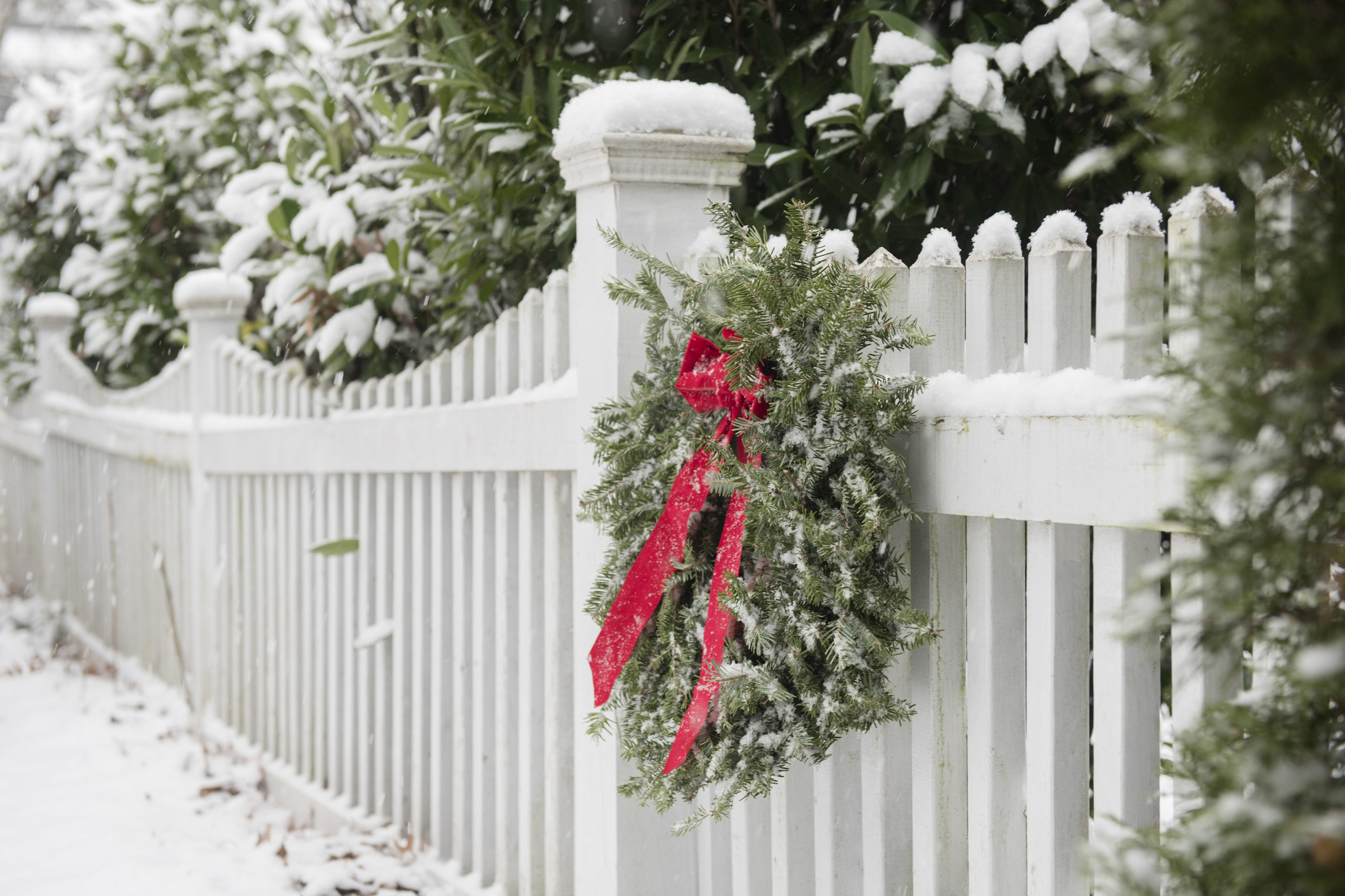Christmas wreath hanging on white fence covered in snow.