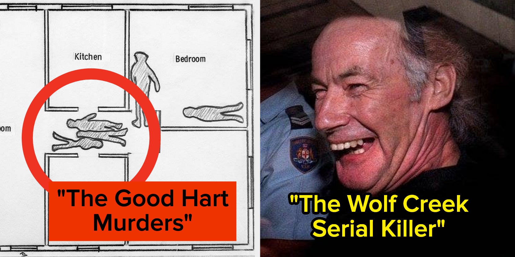 30 Little-Known True Crime Stories June 2023 - Vimarsana News