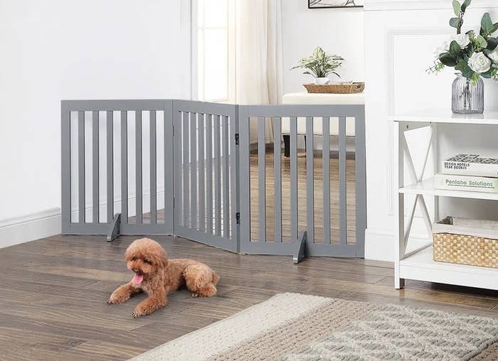 the gate in gray blocking a hallway in a home