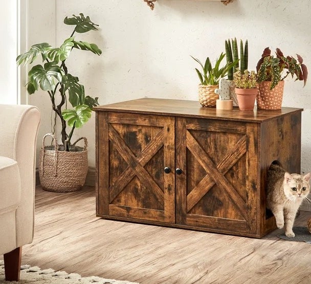 a cat exiting the enclosure in rustic bown being used as an accent table