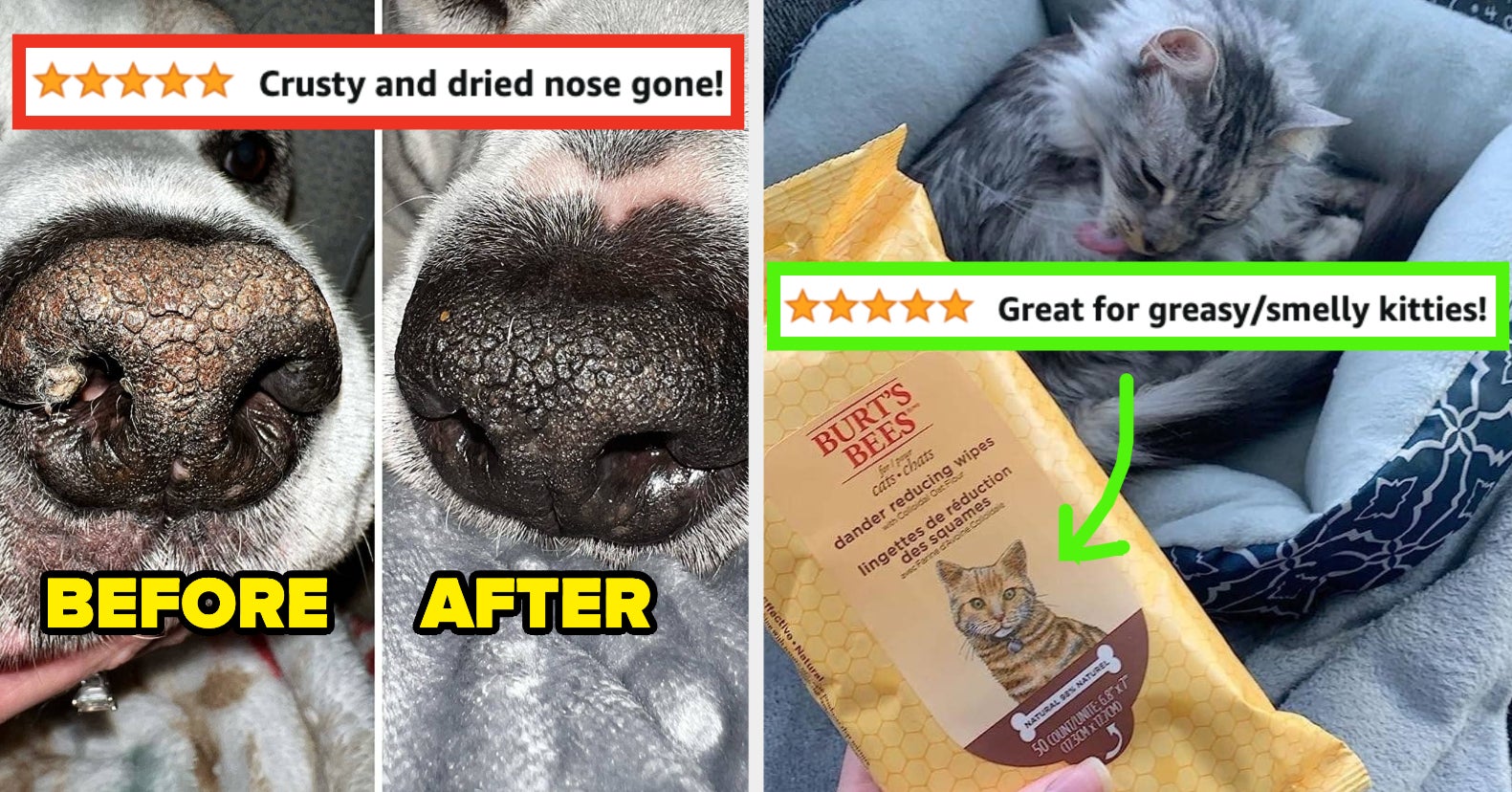27 Amazon Pet Products That Aren't Too Good To Be True