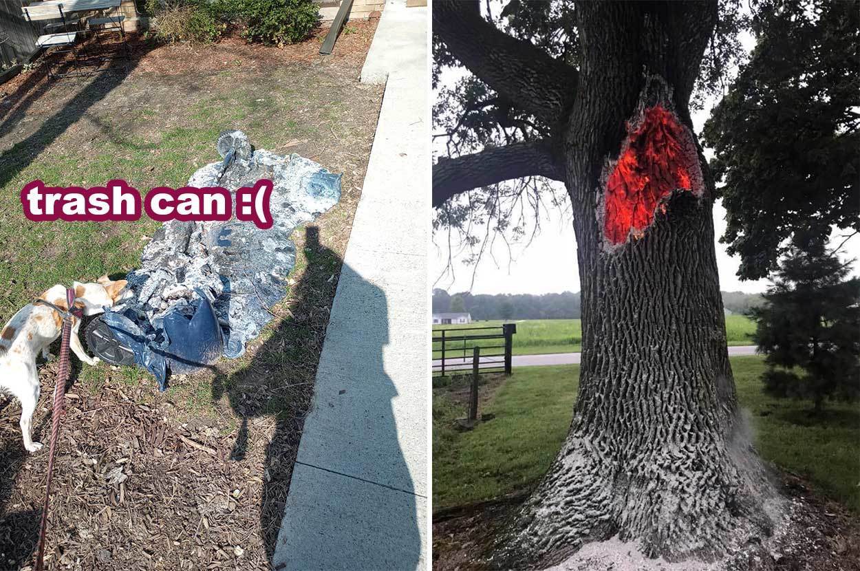 Aftermath of lightning strike on a fishing rod : r/pics