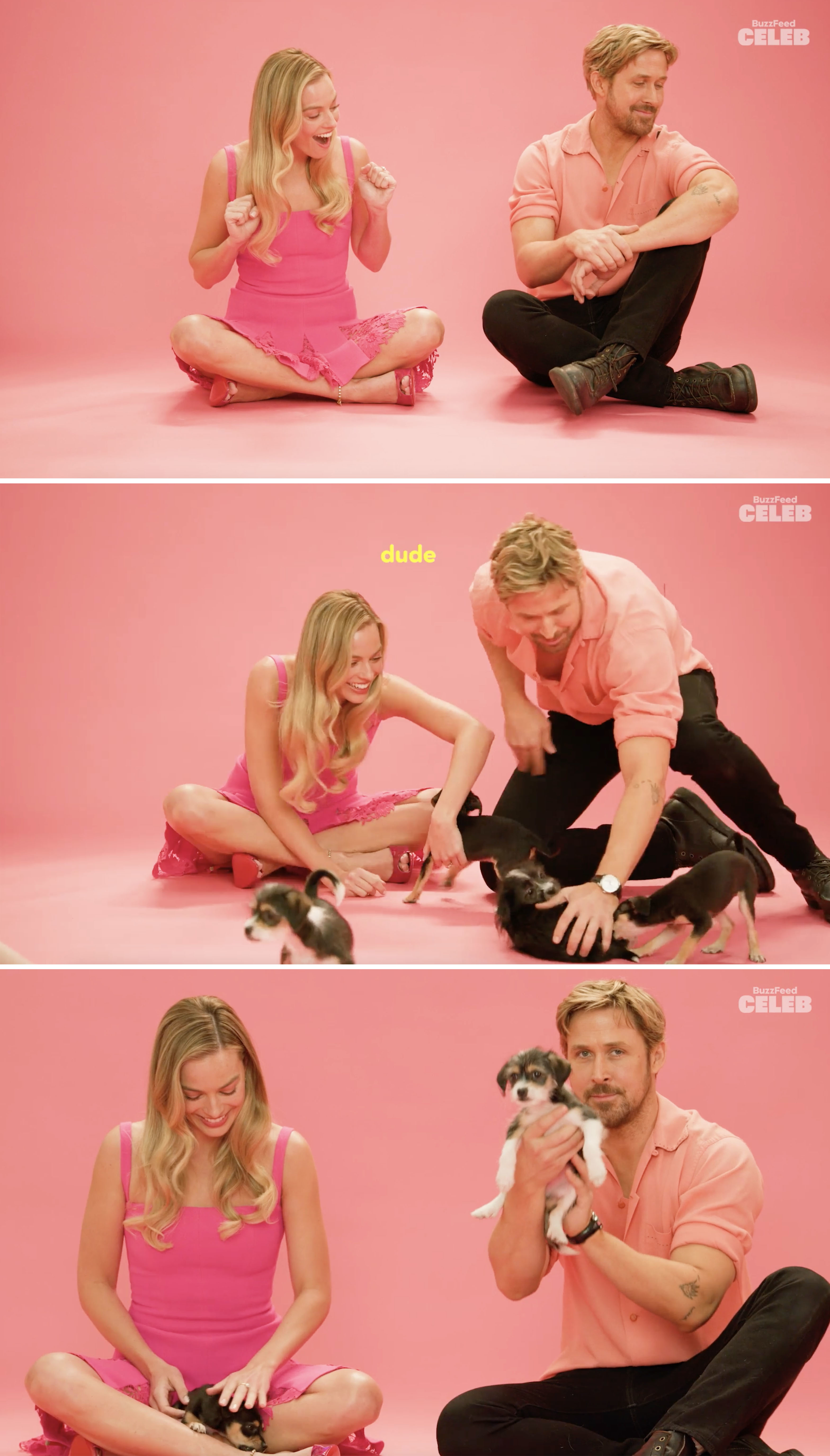 Margot and Ryan sitting and playing with puppies