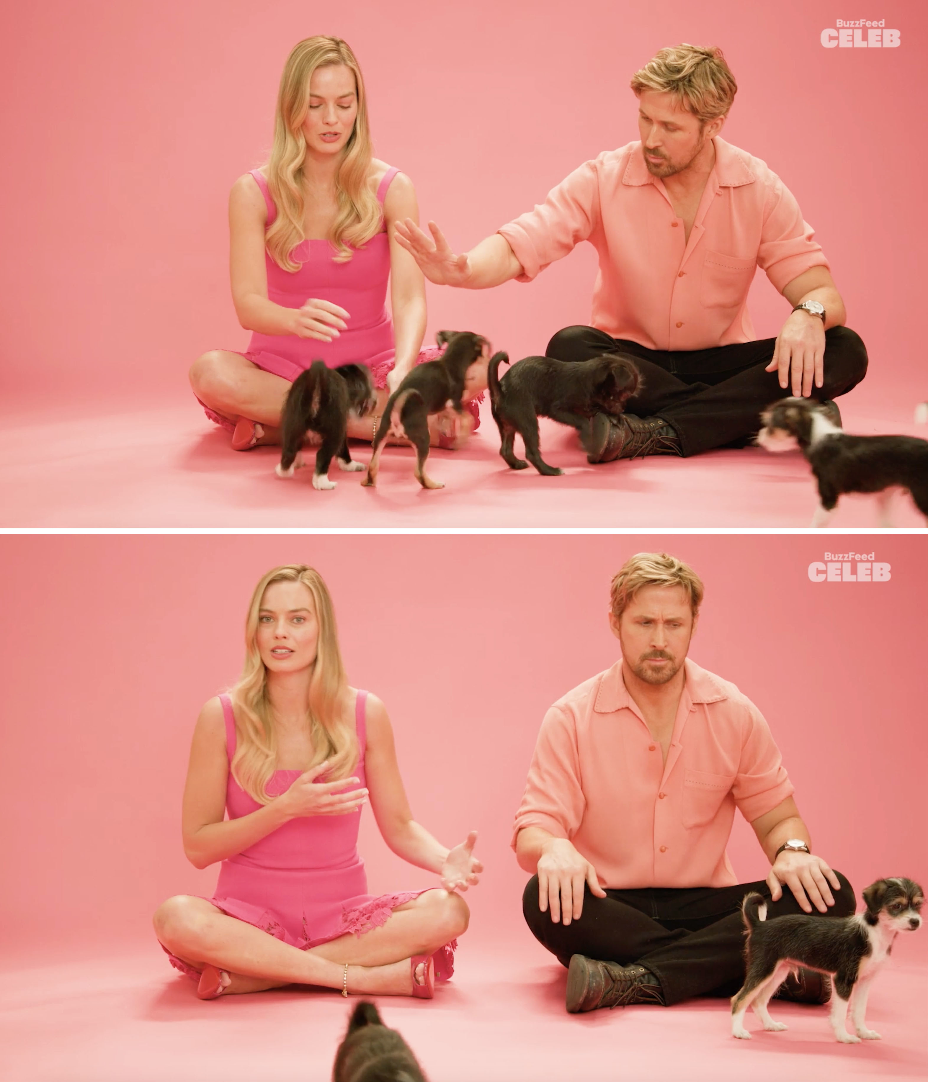 More of Margot and Ryan sitting and playing with puppies