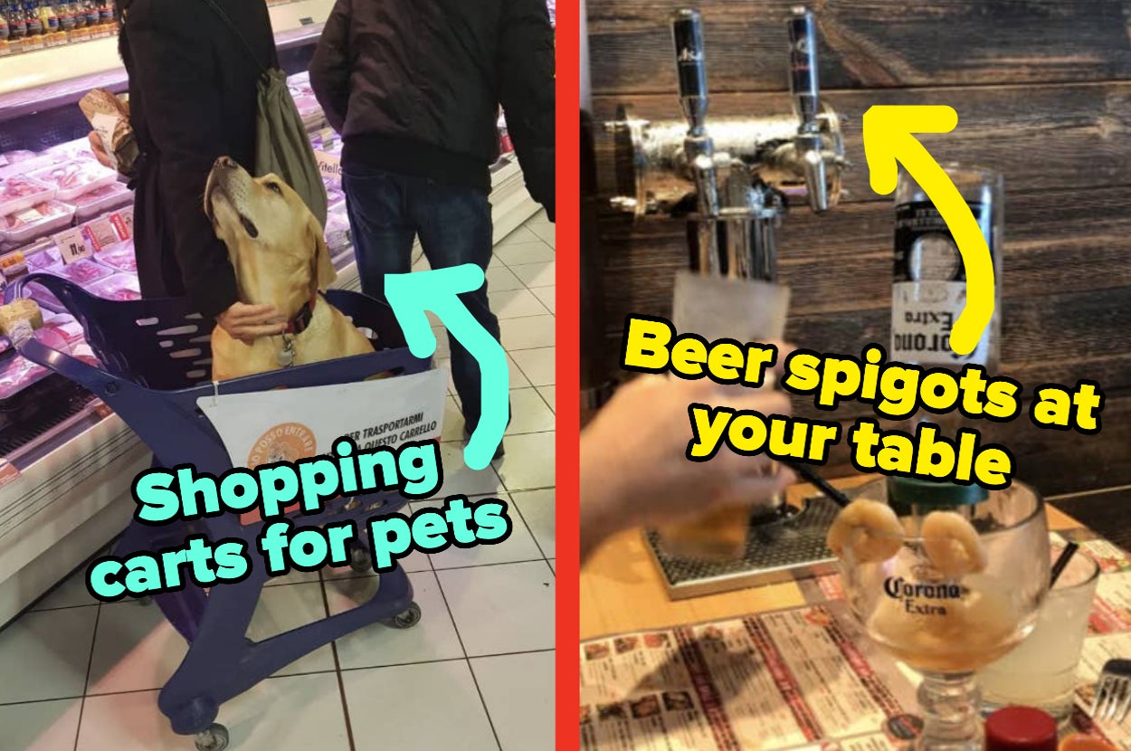 dog in shopping cart captioned "Shopping carts for pets" and beer spigots at a table