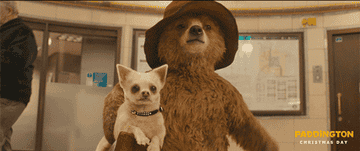 Paddington Bear with a hat in Paddington (2014)