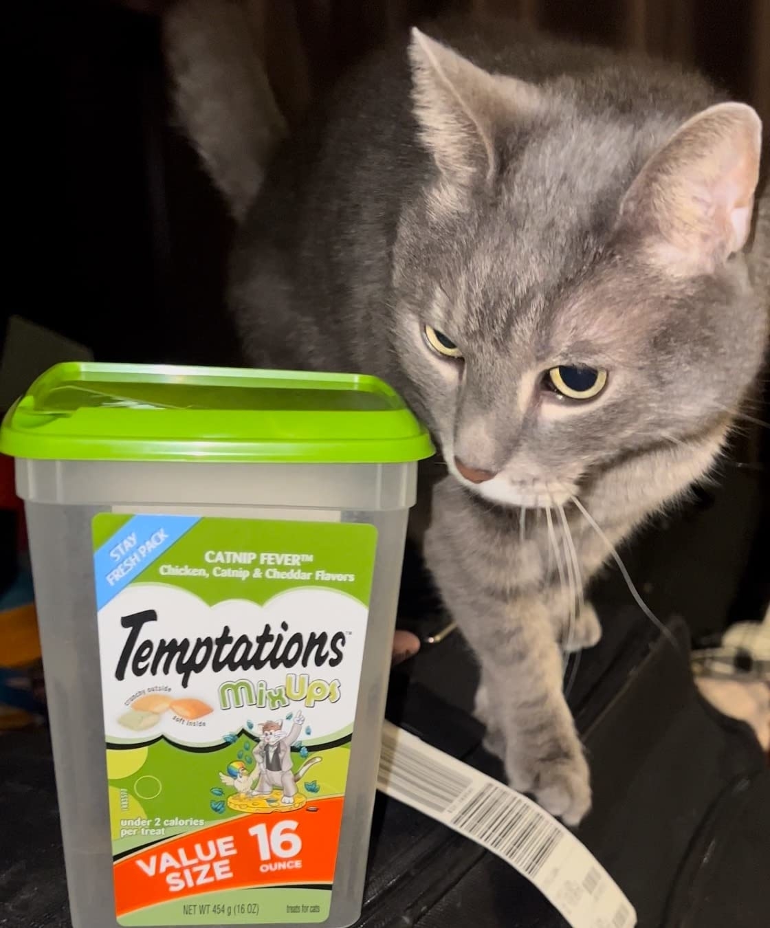 a cat next to the container of temptations treats