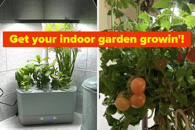 The AeroGarden Harvest Is 70% Off For Prime Day, So It's Time To Become An Apartment Farmer
