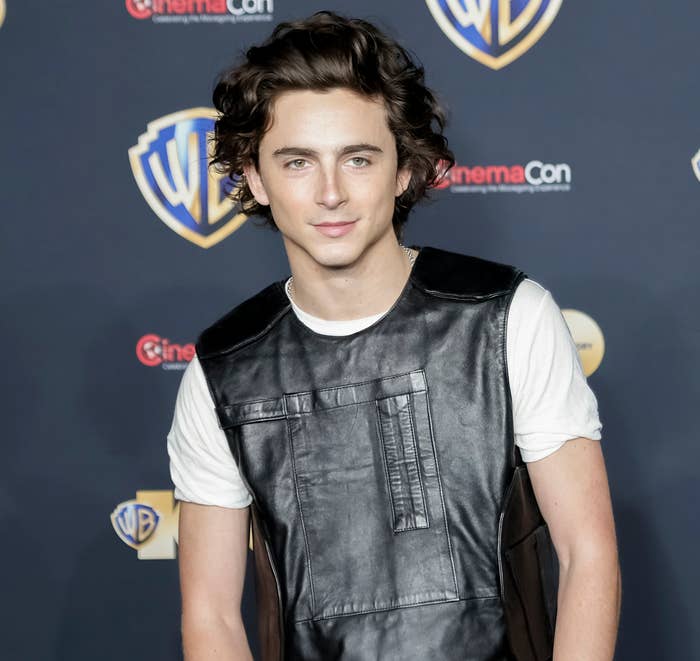 A closeup of Timothée Chalamet on the red carpet in a leather vest and short-sleeved shirt