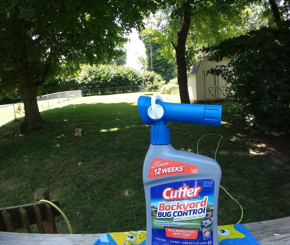 reviewer photo of the spray bottle