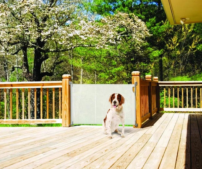 the gate in white keeping a dog on a deck