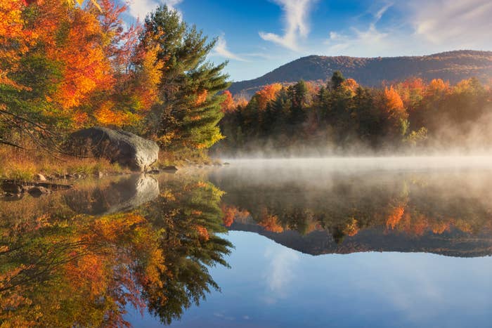the fall foliage in vermont