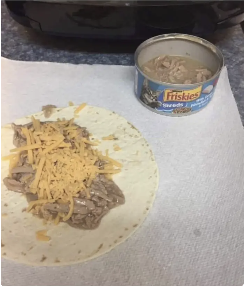 Fish tacos made from canned Friskies cat food