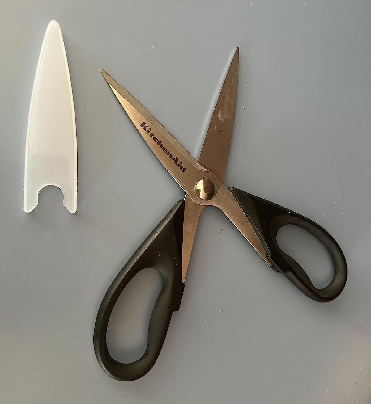 a reviewer photo of the shears and the blade guard