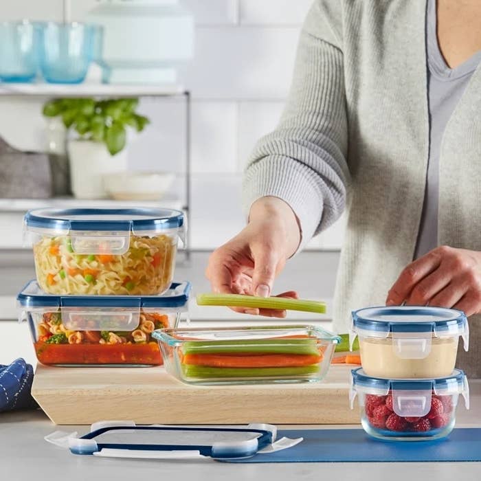 Snapware 18-piece Pyrex Glass Food Storage Container Set (Purple & Blue)  Overview/Review 