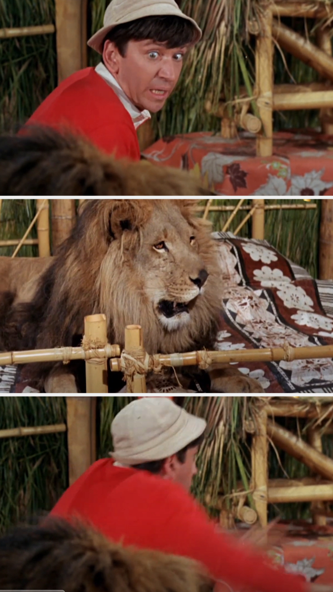 bob and the lion in the scene