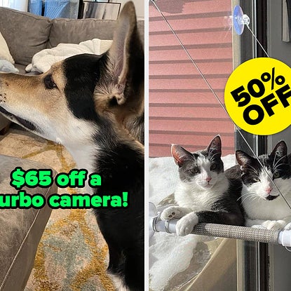 You're Gonna Want To ~Paws~ What You're Doing To Check Out These Prime Day Pet Deals Before They're Over