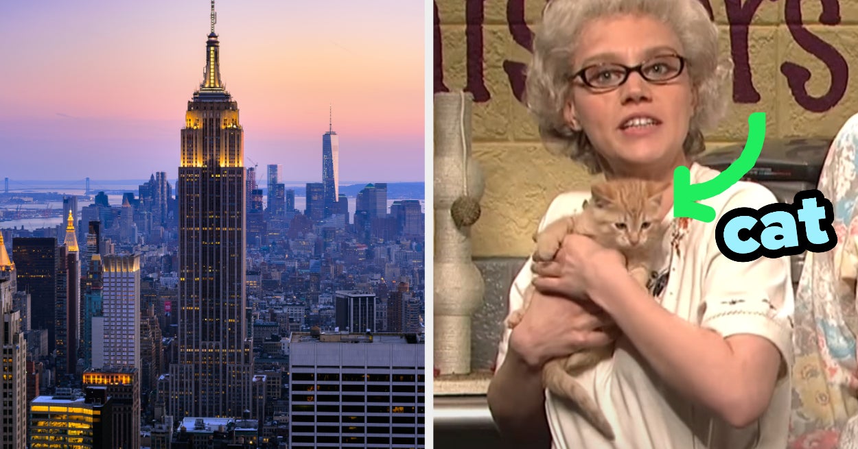 Pick Cities To Visit Get Pet To Adopt Quiz