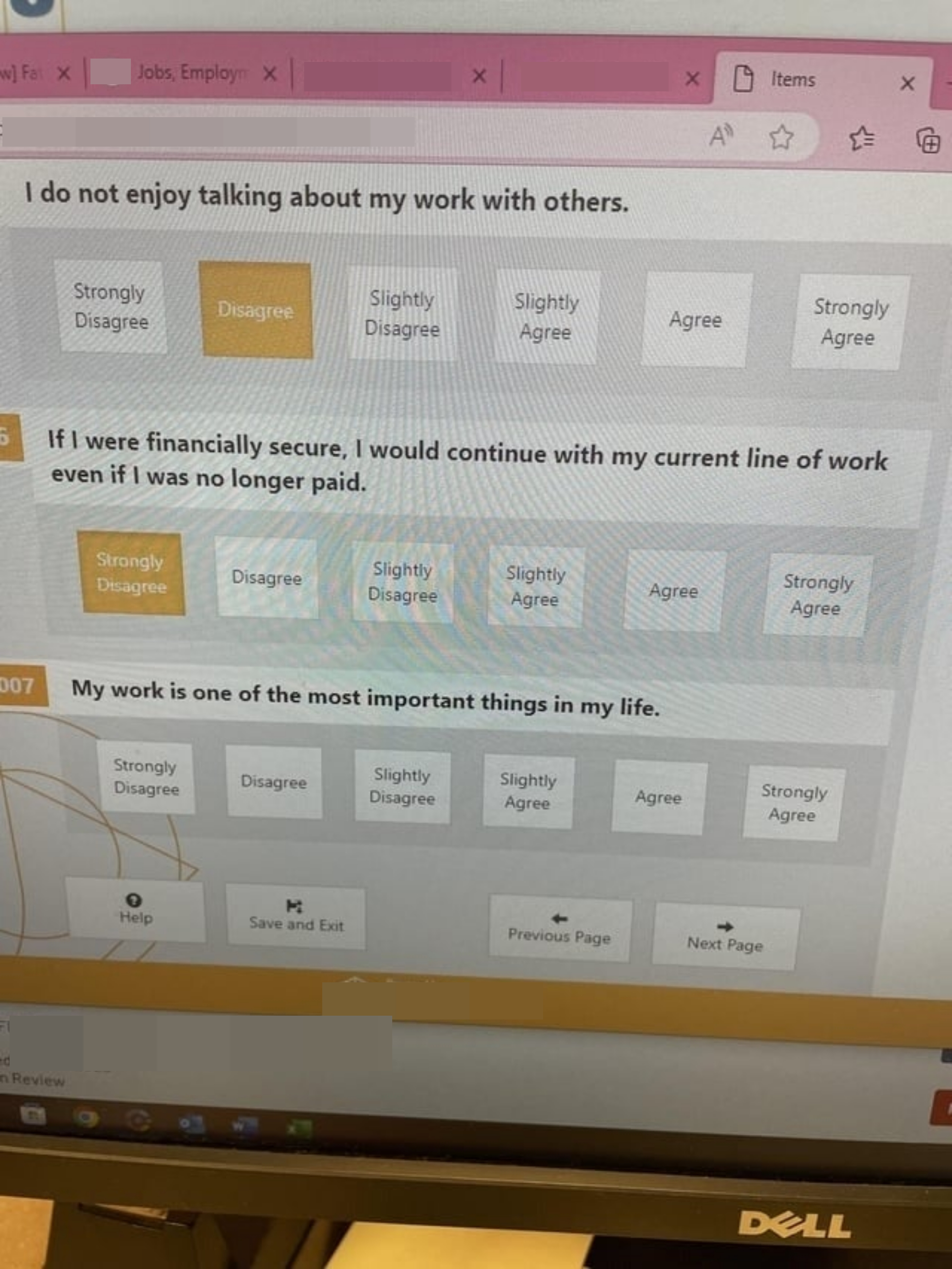 Questions on survey: &quot;I do not enjoy talking about my work with others,&quot; &quot;If I were financially secure, I would continue with my current line of work even if I was no longer paid,&quot; and &quot;My work is one of the most important things in my life&quot;