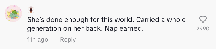 Comment says &quot;She&#x27;s done enough for this world, carried a whole generation on her back, nap earned&quot;