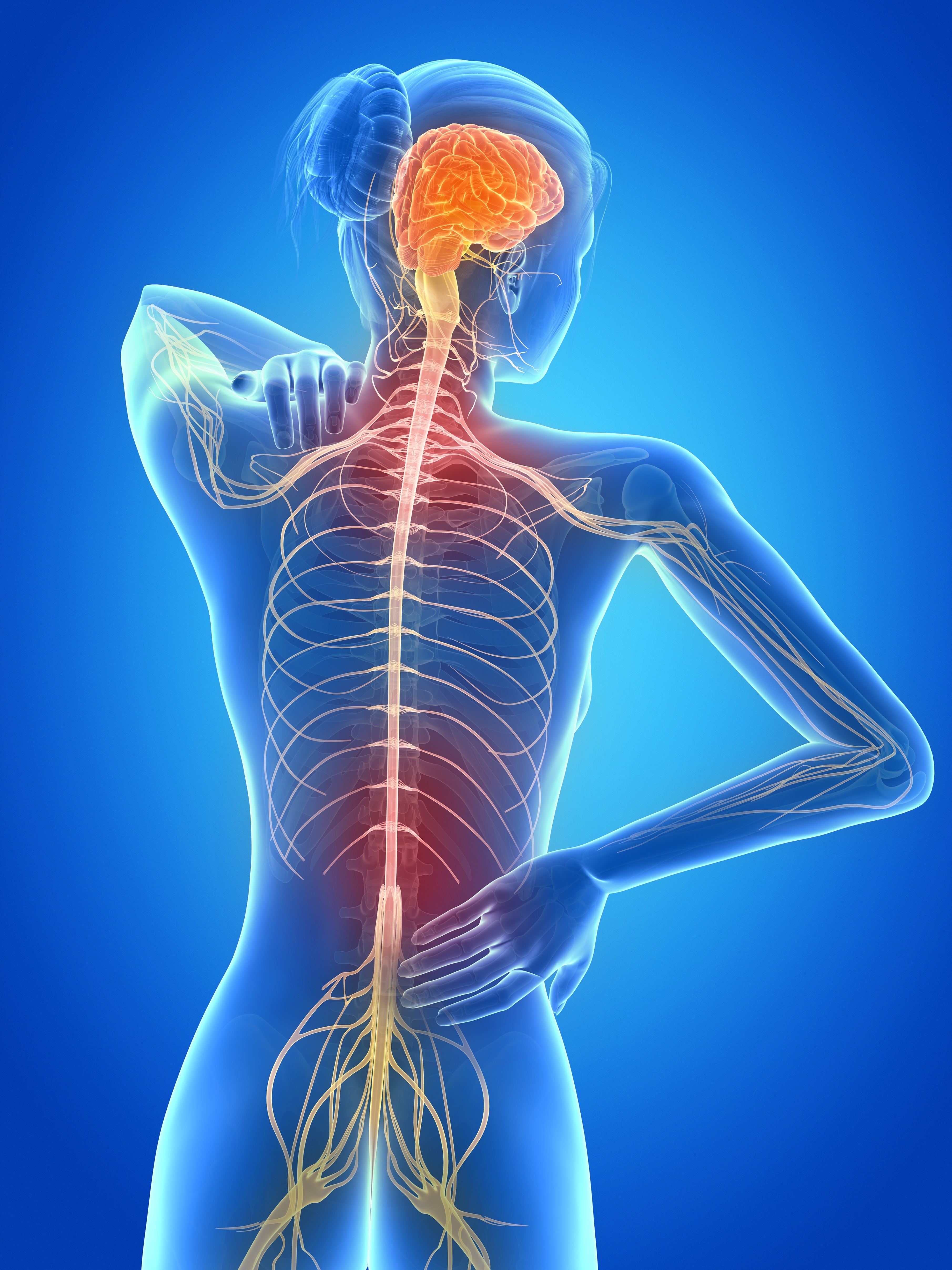 Неврологические боли в спине