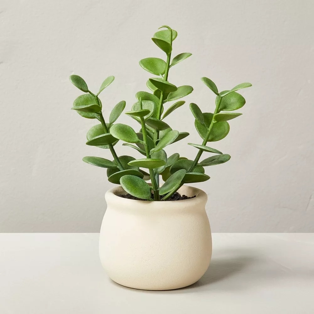 seven-inch faux succulent plant