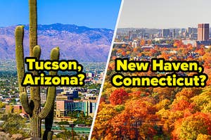 Tucson, Arizona with a cacti in the foreground. New Haven, CT with fall foliage in the foreground.