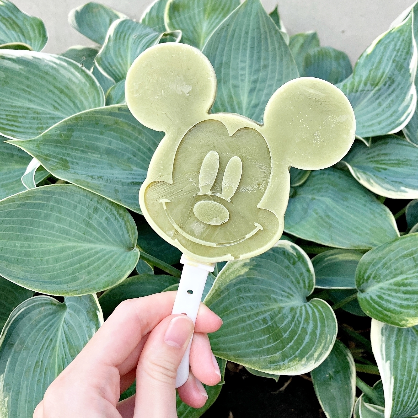 DAISO(ダイソー)の便利アイテム「シリコーンアイスバーメーカー」