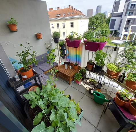 balcony garden