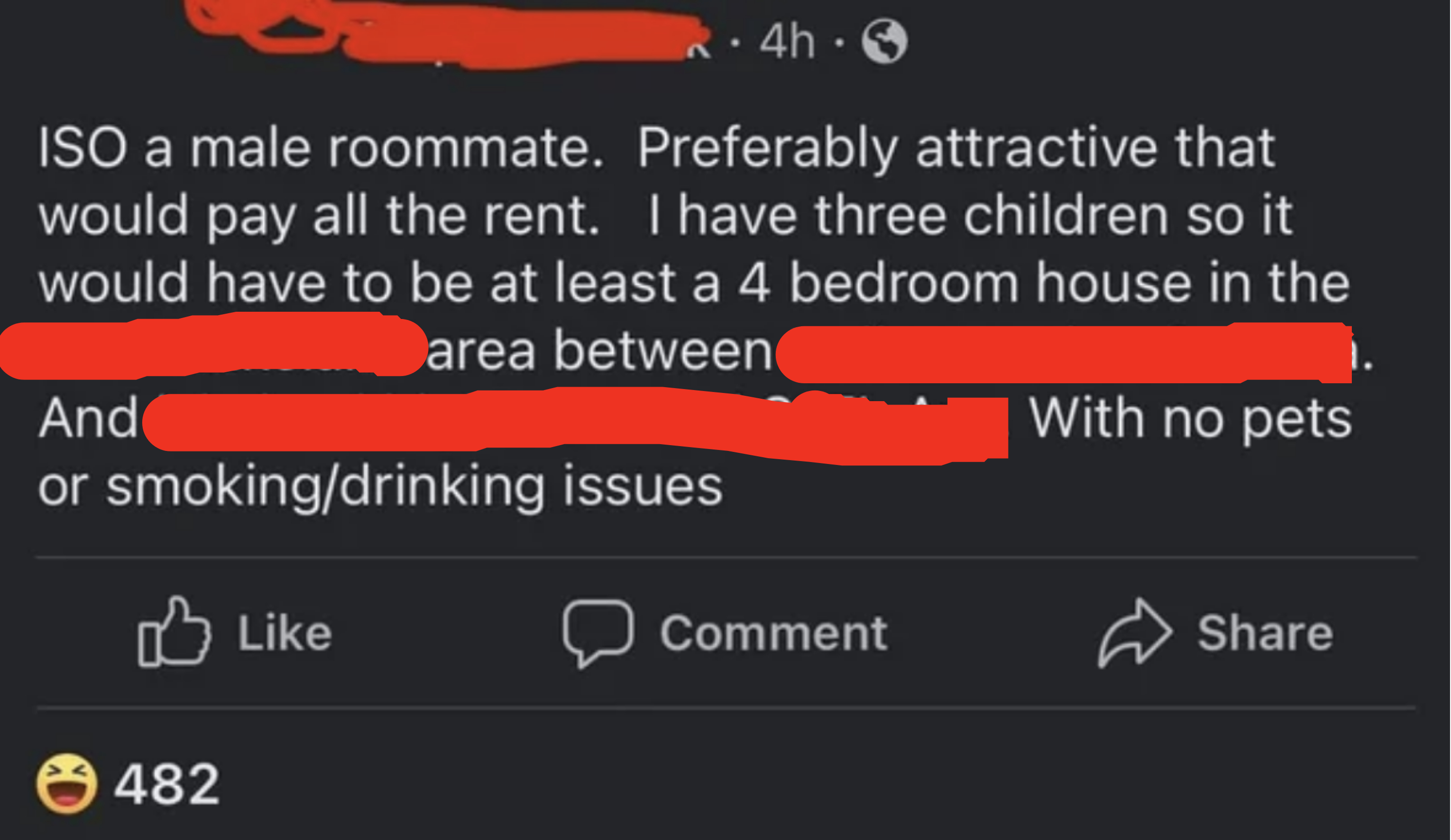 &quot;ISO a male roommate, preferably attractive that would pay all the rent; I have three children so it would have to be at least a 4 BR house&quot; and &quot;no pets or smoking/drinking issues&quot;