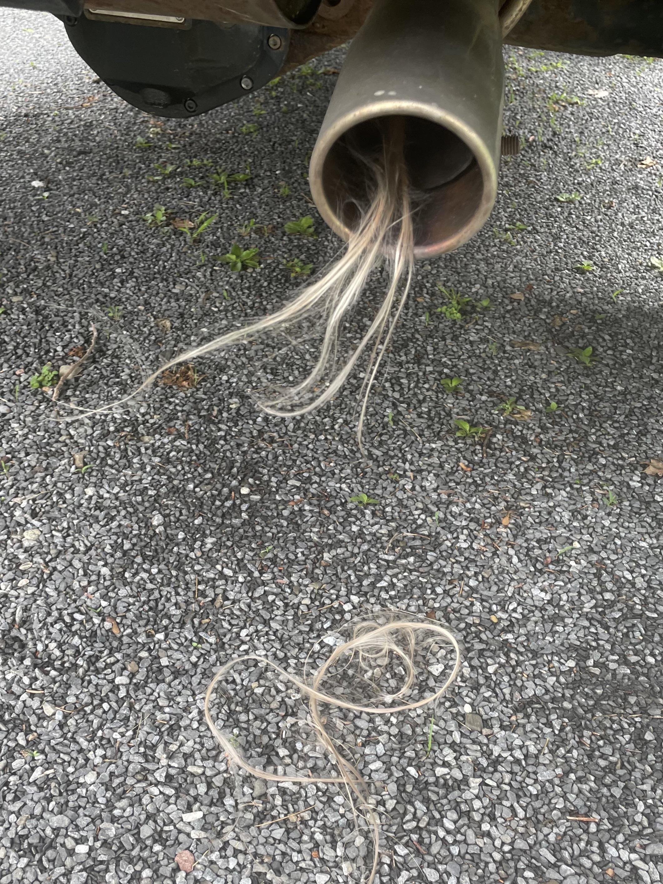 hair-like threads coming out of a muffler