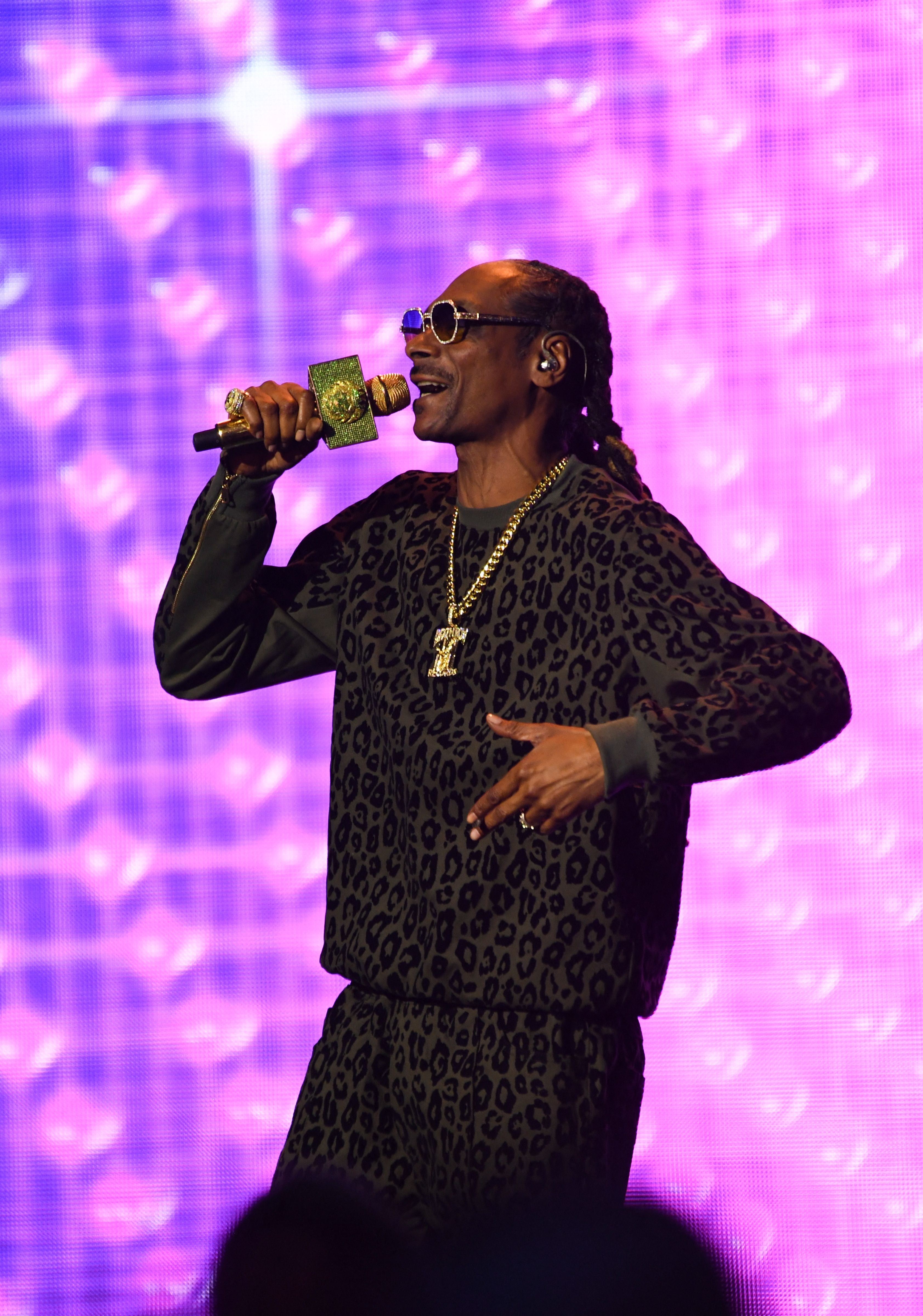Closeup of Snoop Dogg onstage